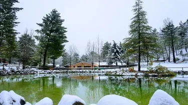Finca Zafiro Lagunazo