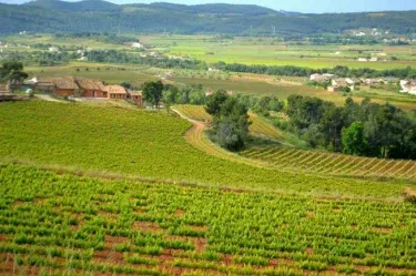 Can Cruset Agroturisme