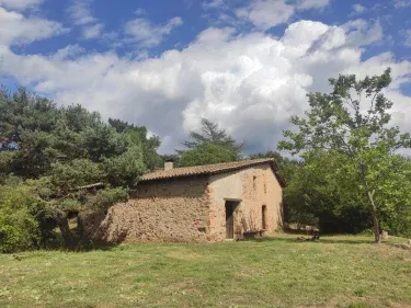 Mas Montornes Silvestre