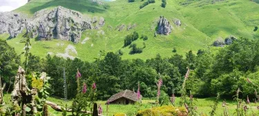 Cabaña "Reina del Paráiso"