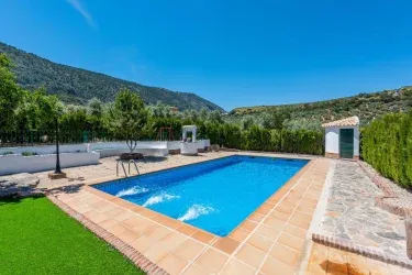 El Olivo de Burbunera