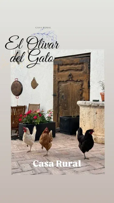 El Olivar del Gato