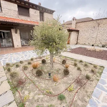 El Jardín de los Olivos I