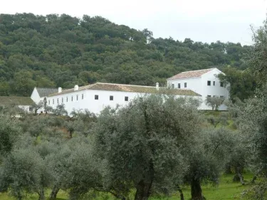 Cortijo Almazara Quintanilla
