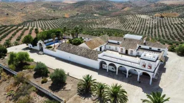 Cortijo Doñana